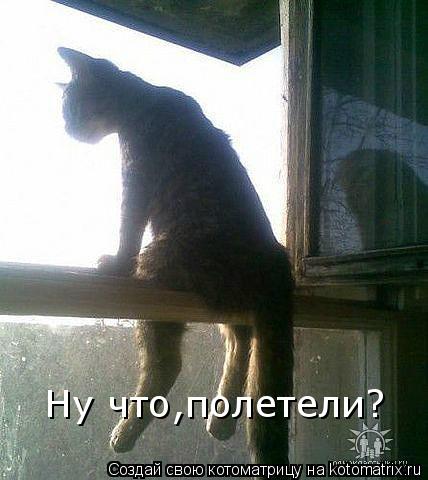 Котоматрица: Ну что,полетели?