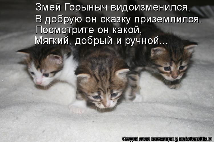Змей Горыныч видоизменился, В добрую он сказку приземлился. Посмотрите он какой, Мягкий, добрый и руч... Котоматрица: Змей Горыныч видоизменился, В добрую он сказку приземлился. Посмотрите он какой, Мягкий, добрый и ручной...