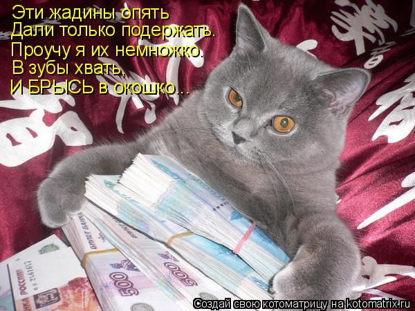 Котоматрица: Эти жадины опять Дали только подержать. Проучу я их немножко. В зубы хвать, И БРЫСЬ в окошко...