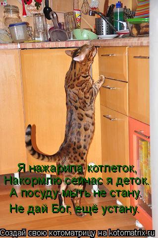 Котоматрица: Я нажарила котлеток, Накормлю сейчас я деток. А посуду мыть не стану. Не дай Бог, ещё устану.