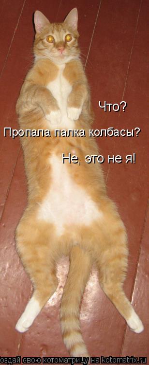 Котоматрица: Не, это не я! Пропала палка колбасы? Что?