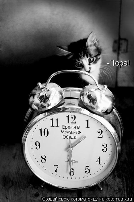 Котоматрица: Обеда! Время в -Пора!