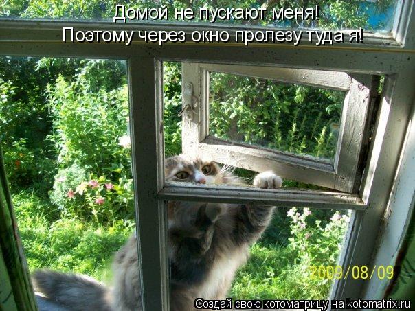 Котоматрица: Домой не пускают меня! Поэтому через окно пролезу туда я!