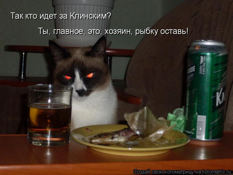 Котоматрица: Так кто идет за Клинским? Ты, главное, это, хозяин, рыбку оставь!