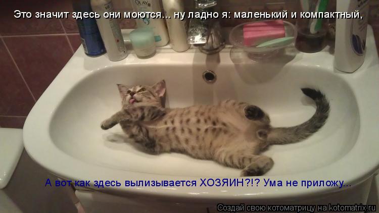 Котоматрица: Это значит здесь они моются... ну ладно я: маленький и компактный, А вот как здесь вылизывается ХОЗЯИН?!? Ума не приложу...
