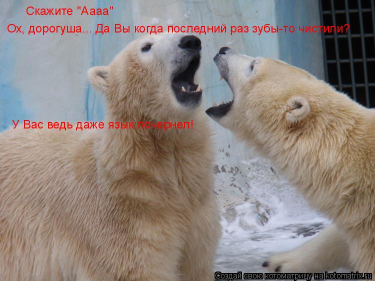 Котоматрица: Скажите "Аааа" Ох, дорогуша... Да Вы когда последний раз зубы-то чистили? У Вас ведь даже язык почернел!