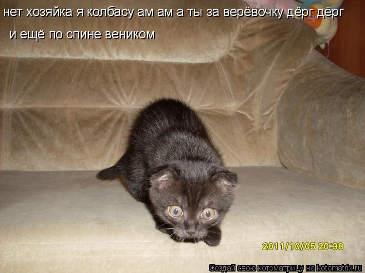 Котоматрица: нет хозяйка я колбасу ам ам а ты за верёвочку дёрг дёрг  и ещё по спине веником