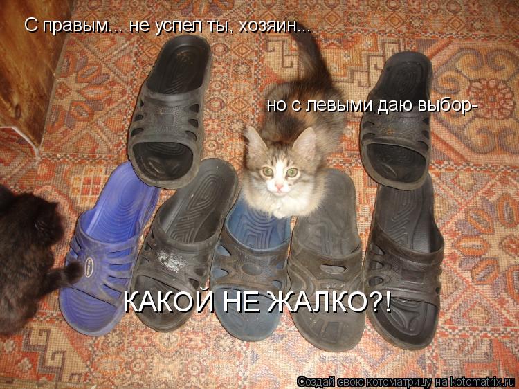 Котоматрица: С правым... не успел ты, хозяин... но с левыми даю выбор- КАКОЙ НЕ ЖАЛКО?!