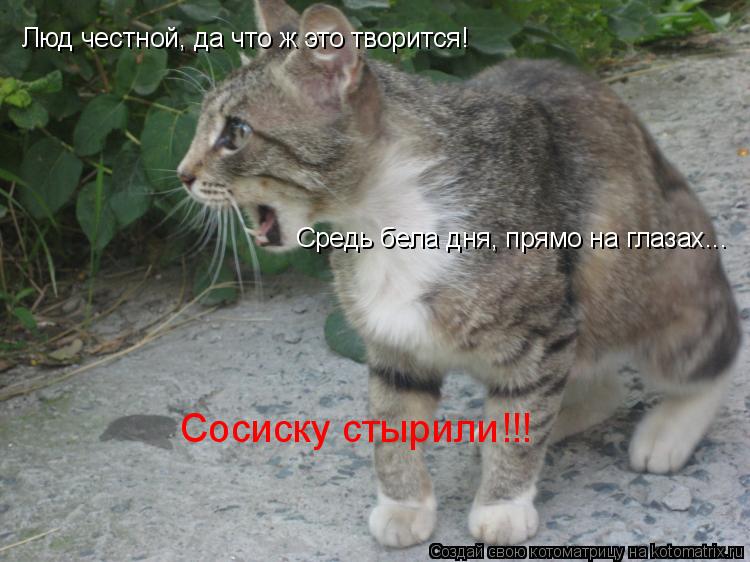 Котоматрица: Люд честной, да что ж это творится! Средь бела дня, прямо на глазах... Сосиску стырили!!!