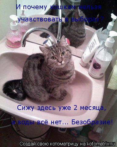 Котоматрица: И почему кошкам нельзя  учавствовать в выборах? Сижу здесь уже 2 месяца, а воды всё нет... Безобразие!