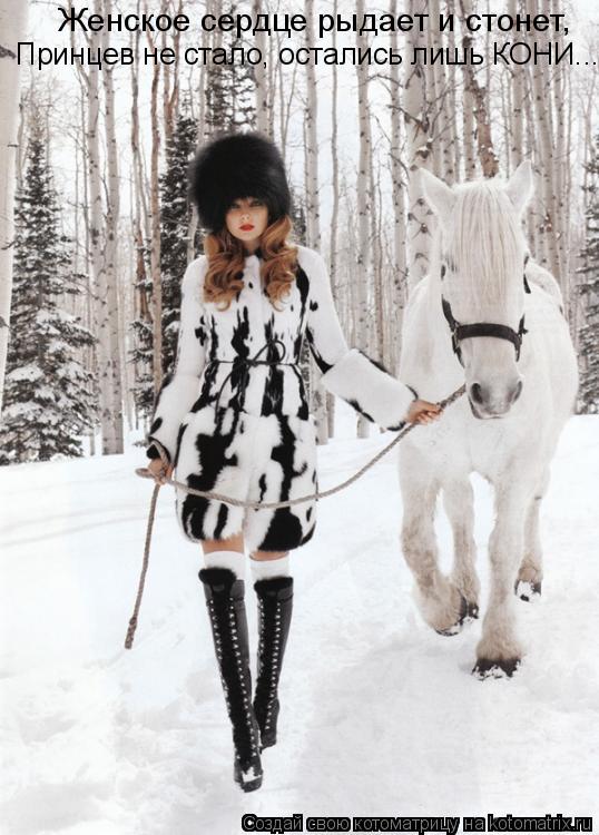 Котоматрица: Женское сердце рыдает и стонет, Принцев не стало, остались лишь КОНИ...