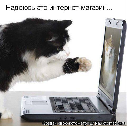 Котоматрица: Надеюсь это интернет-магазин...