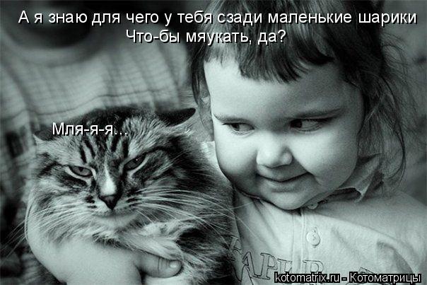 Котоматрица: А я знаю для чего у тебя сзади маленькие шарики Что-бы мяукать, да? Мля-я-я...