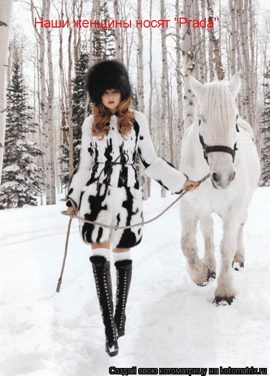 Котоматрица: Наши женщины носят "Prada"