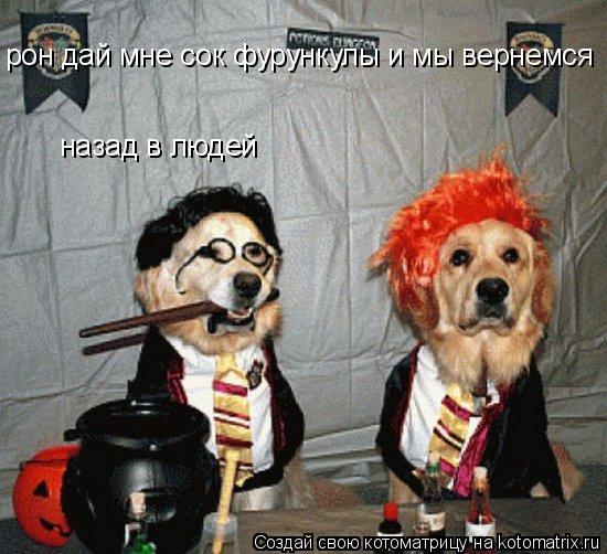 Котоматрица: рон дай мне сок фурункулы и мы вернемся  назад в людей