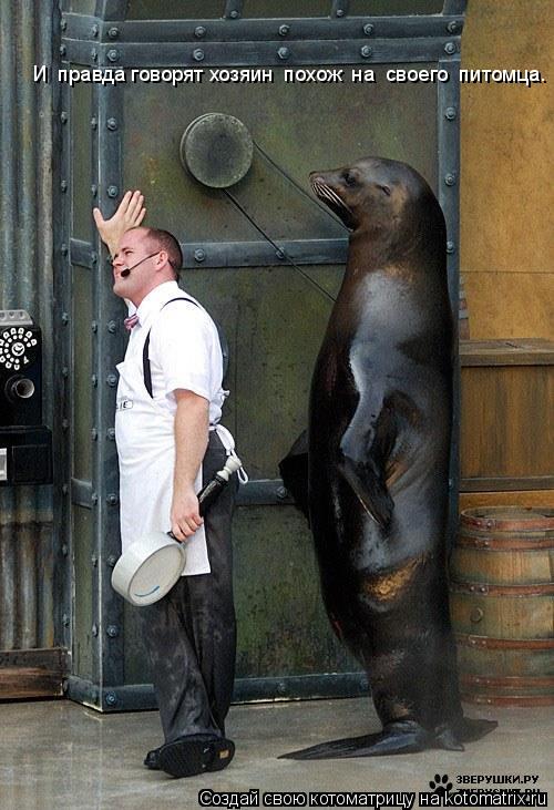 Котоматрица: И  правда говорят хозяин  похож  на  своего  питомца.
