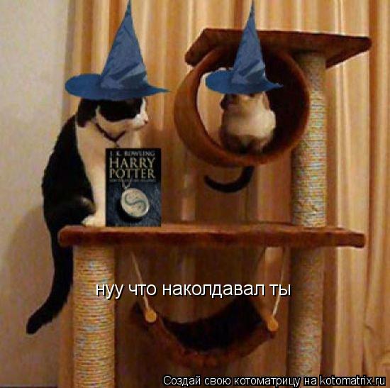Котоматрица: нуу что наколдавал ты