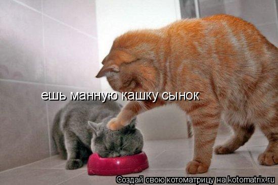 Котоматрица: ешь манную кашку сынок