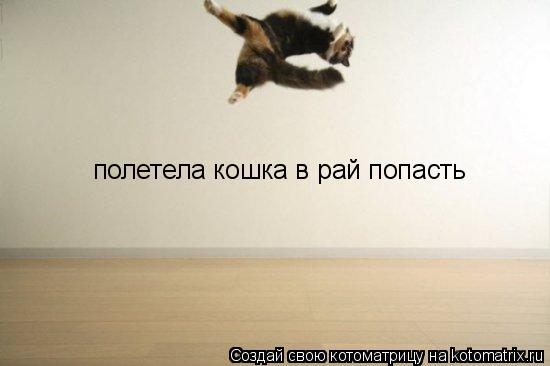 Котоматрица: полетела кошка в рай попасть