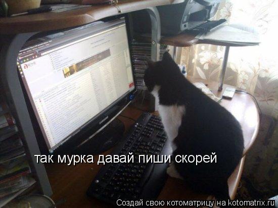 Котоматрица: так мурка давай пиши скорей
