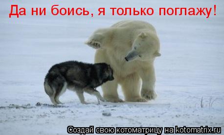 Котоматрица: Да ни боись, я только поглажу!