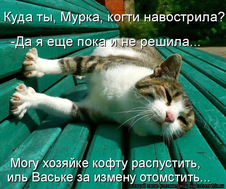 Куда ты, Мурка, когти навострила? -Да я еще пока и не решила... Могу хозяйке кофту распустить, иль Ва... Котоматрица: Куда ты, Мурка, когти навострила? -Да я еще пока и не решила... Могу хозяйке кофту распустить, иль Ваське за измену отомстить...