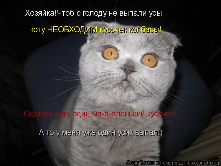 кислот образуются зачем кошке и собаке усы стараниям