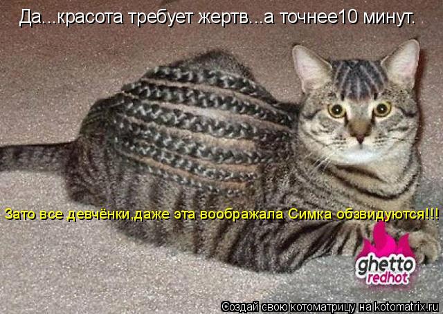Котоматрица: Да...красота требует жертв...а точнее10 минут. Зато все девчёнки,даже эта воображала Симка обзвидуются!!!