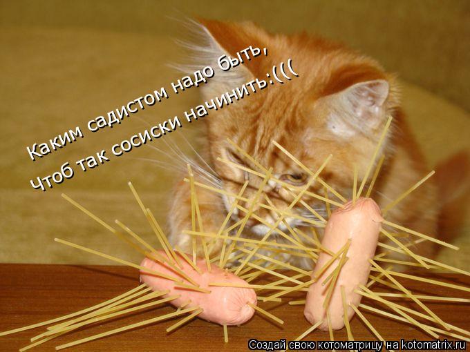 Котоматрица: Каким садистом надо быть, Чтоб так сосиски начинить:(((