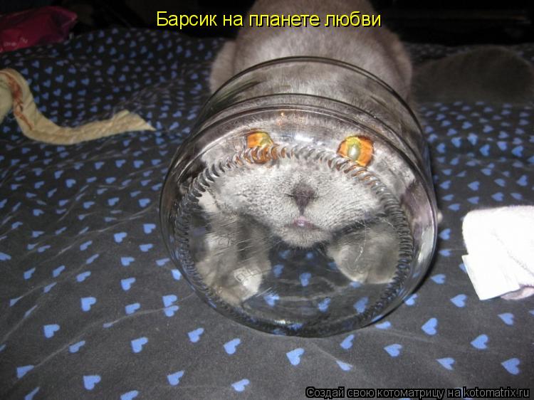 Котоматрица: Барсик на планете любви