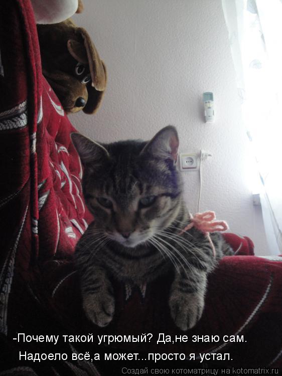 Котоматрица: -Почему такой угрюмый? Да,не знаю сам. Надоело всё,а может...просто я устал.