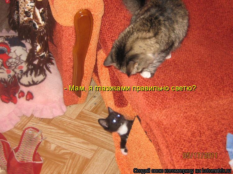 Котоматрица: - Мам, я глазиками правильно светю?