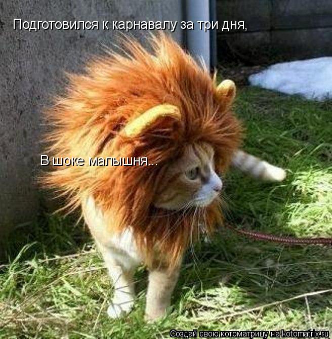 Котоматрица: Подготовился к карнавалу за три дня, В шоке малышня...