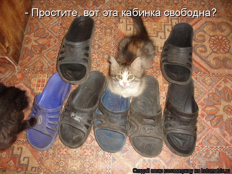 Котоматрица: - Простите, вот эта кабинка свободна?