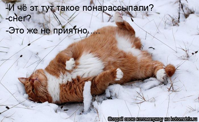 Котоматрица: -И чё эт тут такое понарассыпали?                                                                -снег?                                               