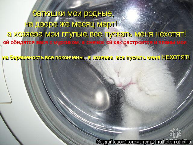 батюшки мои родные, на дворе же месяц март! а хозяева мои глупые,все пускать меня нехотят! ой обидятс... Котоматрица: батюшки мои родные, на дворе же месяц март! а хозяева мои глупые,все пускать меня нехотят! ой обидятся вася с мурсиком. а снежок ой как растро