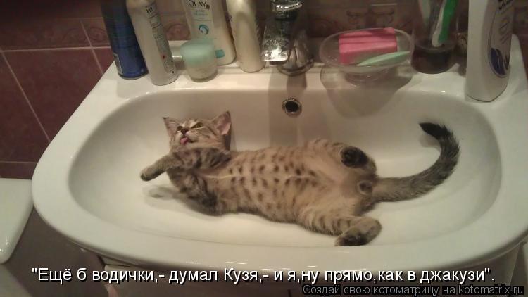 "Ещё б водички,- думал Кузя,- и я,ну прямо,как в джакузи".... Котоматрица: "Ещё б водички,- думал Кузя,- и я,ну прямо,как в джакузи".