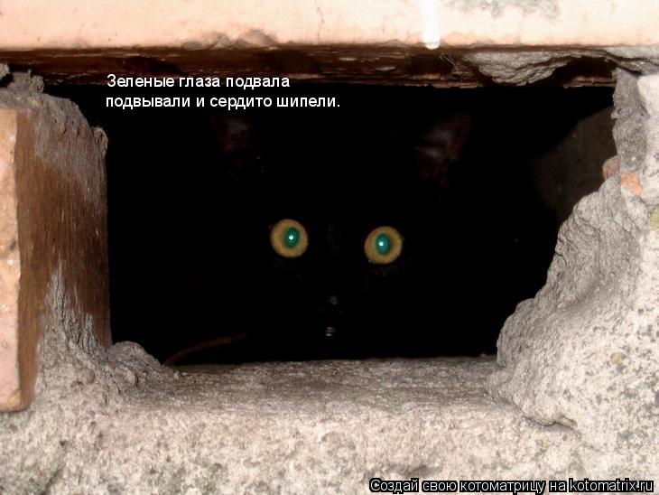 Зеленые глаза подвала подвывали и сердито шипели.... Котоматрица: Зеленые глаза подвала подвывали и сердито шипели.