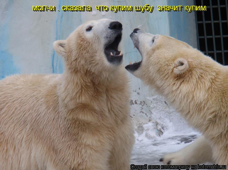 молчи . сказала что купим шубу значит купим молчи . сказала что купим шубу значит купим... Котоматрица: молчи . сказала что купим шубу значит купим молчи . сказала что купим шубу значит купим