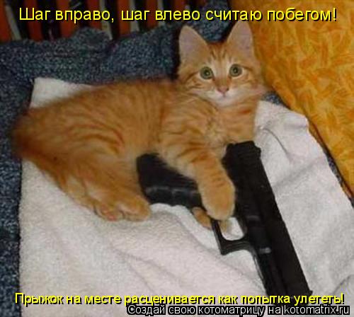 Шаг вправо шаг влево считаю побегом! Прыжок на месте расценивается как попытка улететь! Шаг вправо, ш... Котоматрица: Шаг вправо шаг влево считаю побегом! Прыжок на месте расценивается как попытка улететь! Шаг вправо, шаг влево считаю побегом! Прыжок на мес