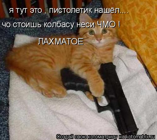 Котоматрица: я тут это , пистолетик нашёл.... чо стоишь колбасу неси ЧМО ! ЛАХМАТОЕ
