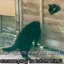 Котоматрица: Так, куда-то я нетуда вылез.