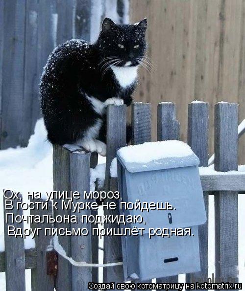 Ох, на улице мороз, В гости к Мурке не пойдешь. Почтальона поджидаю, Вдруг письмо пришлёт родная.... Котоматрица: Ох, на улице мороз, В гости к Мурке не пойдешь. Почтальона поджидаю, Вдруг письмо пришлёт родная.