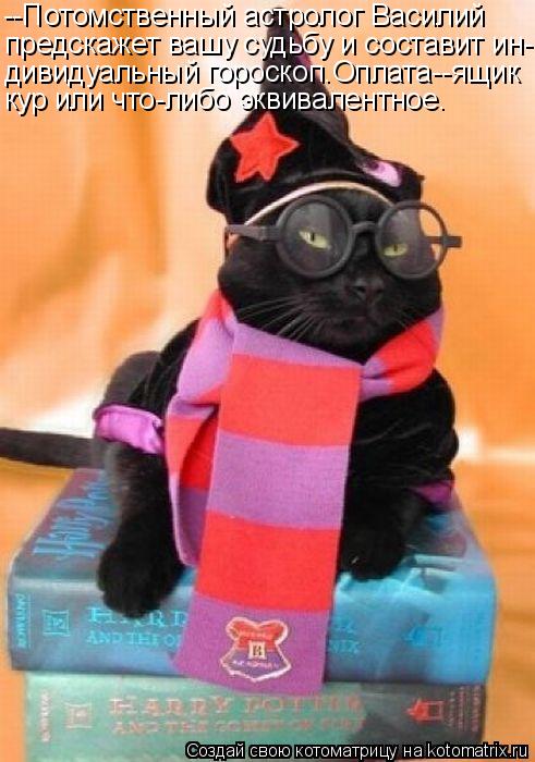 Котоматрица: --Потомственный астролог Василий предскажет вашу судьбу и составит ин- дивидуальный гороскоп.Оплата--ящик  кур или что-либо эквивалентное.