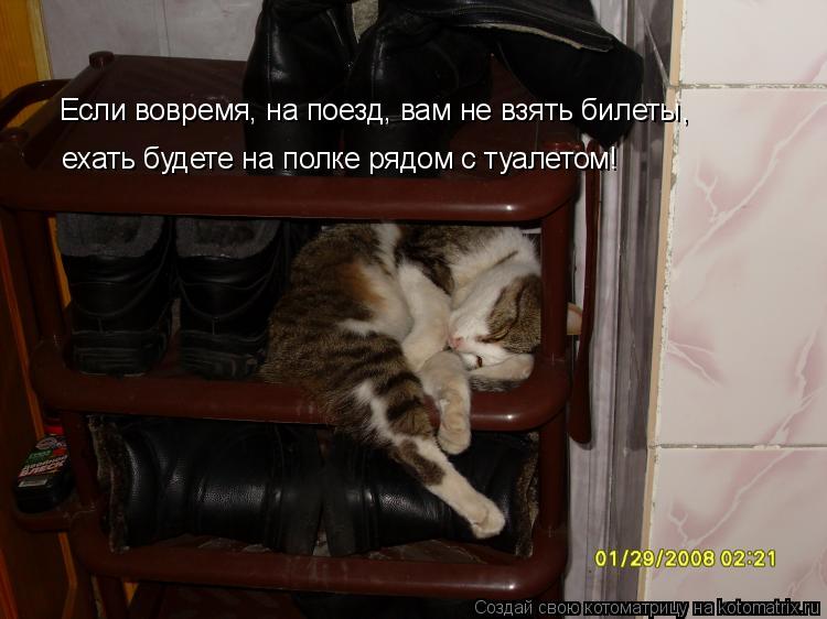 Котоматрица: Если вовремя, на поезд, вам не взять билеты,  ехать будете на полке рядом с туалетом!