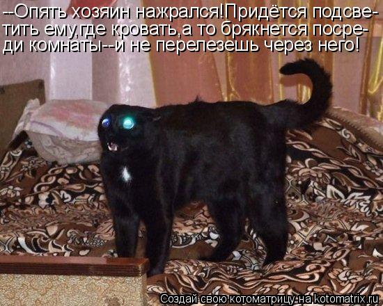 Котоматрица: --Опять хозяин нажрался!Придётся подсве- тить ему,где кровать,а то брякнется посре- ди комнаты--и не перелезешь через него!