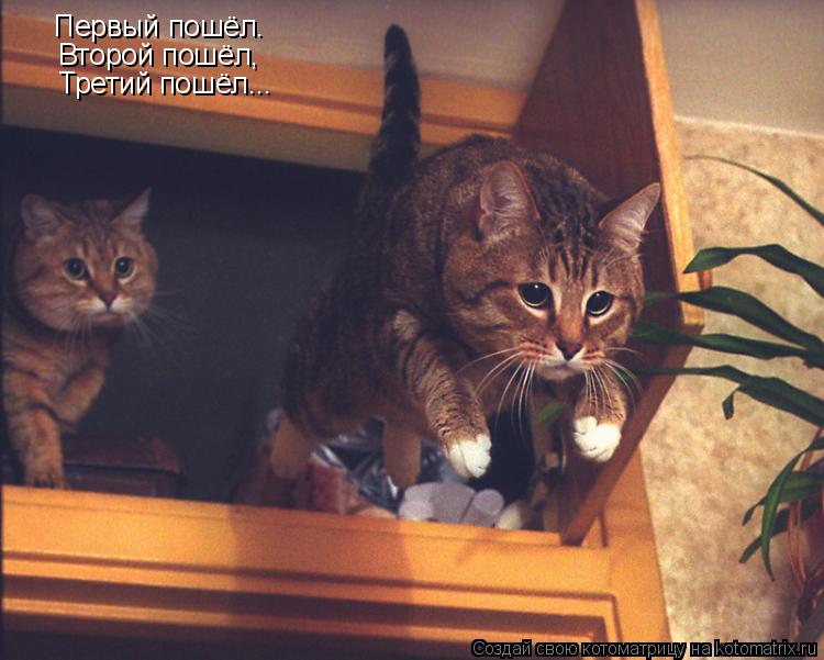 Котоматрица: Первый пошёл. Второй пошёл, Третий пошёл...