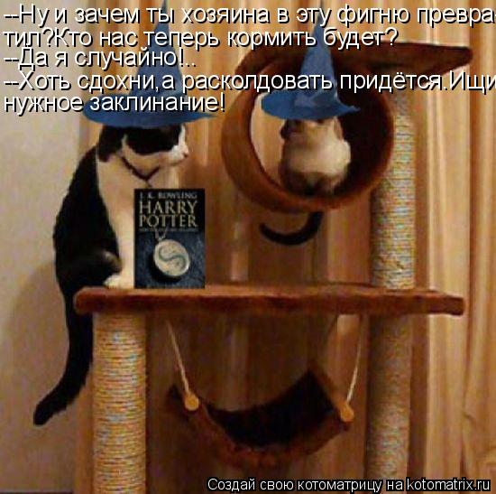 Котоматрица: --Ну и зачем ты хозяина в эту фигню превра- тил?Кто нас теперь кормить будет? --Да я случайно!.. --Хоть сдохни,а расколдовать придётся.Ищи нужное