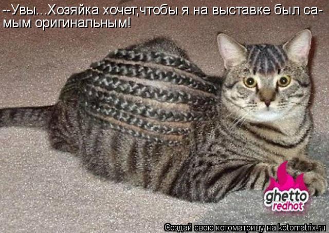 Котоматрица: --Увы...Хозяйка хочет,чтобы я на выставке был са- мым оригинальным!