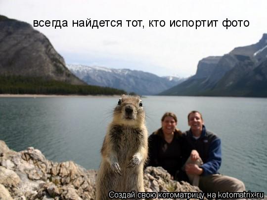 Котоматрица: всегда найдется тот, кто испортит фото